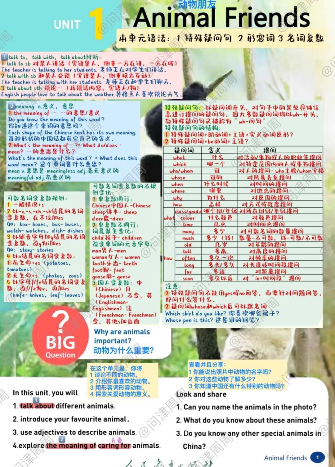 新改版/人教版七下Unit1课本详解笔记