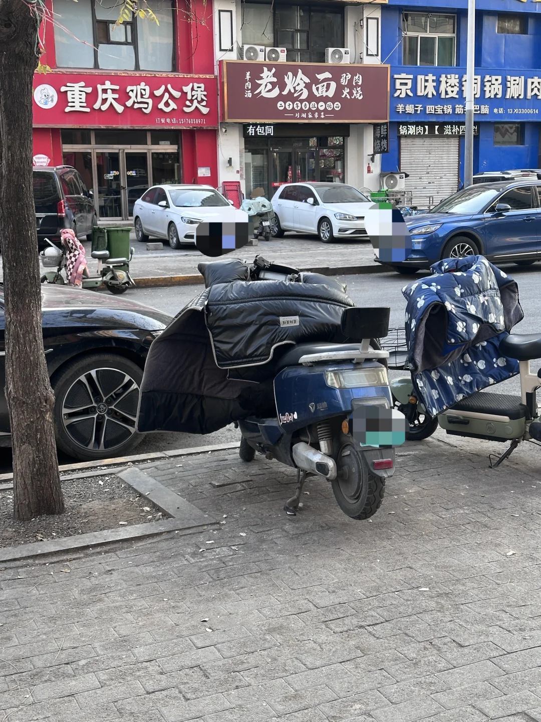 看图找猫🐱
