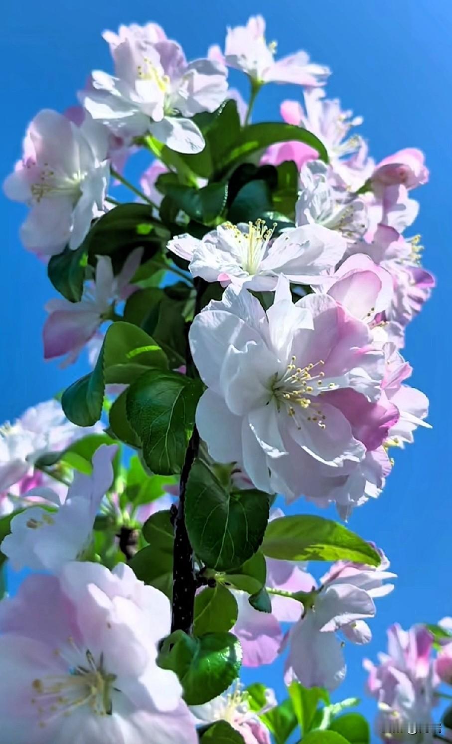 说实话，钱多又能怎样？

刷到女首富去世的的消息，突然就沉默了。

一个身家多少