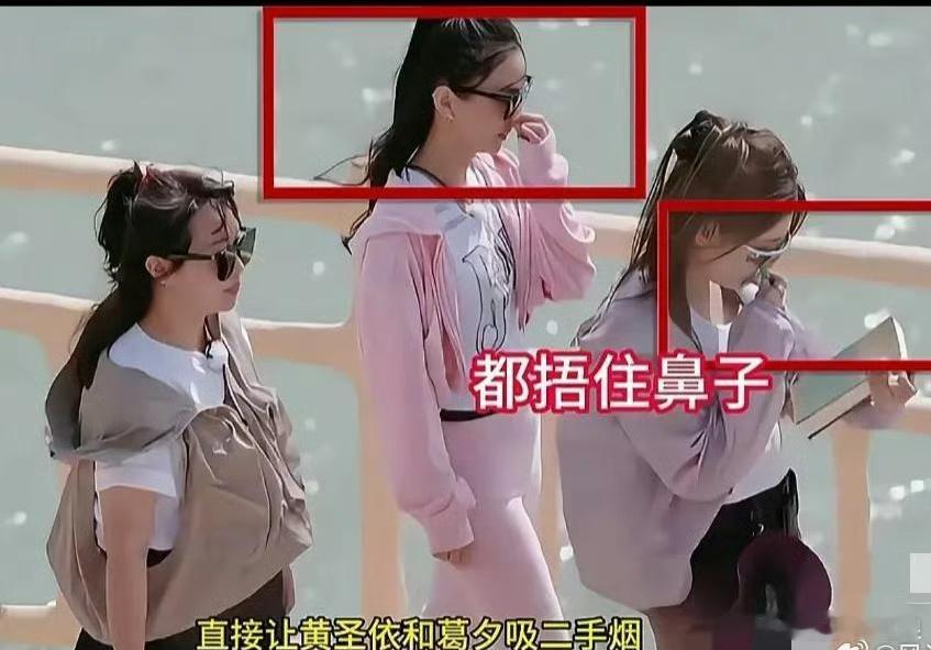 麦琳 烟瘾  麦琳在公共场合抽烟室内抽烟，挂着禁止抽烟的牌子的船上也要抽烟，抽完