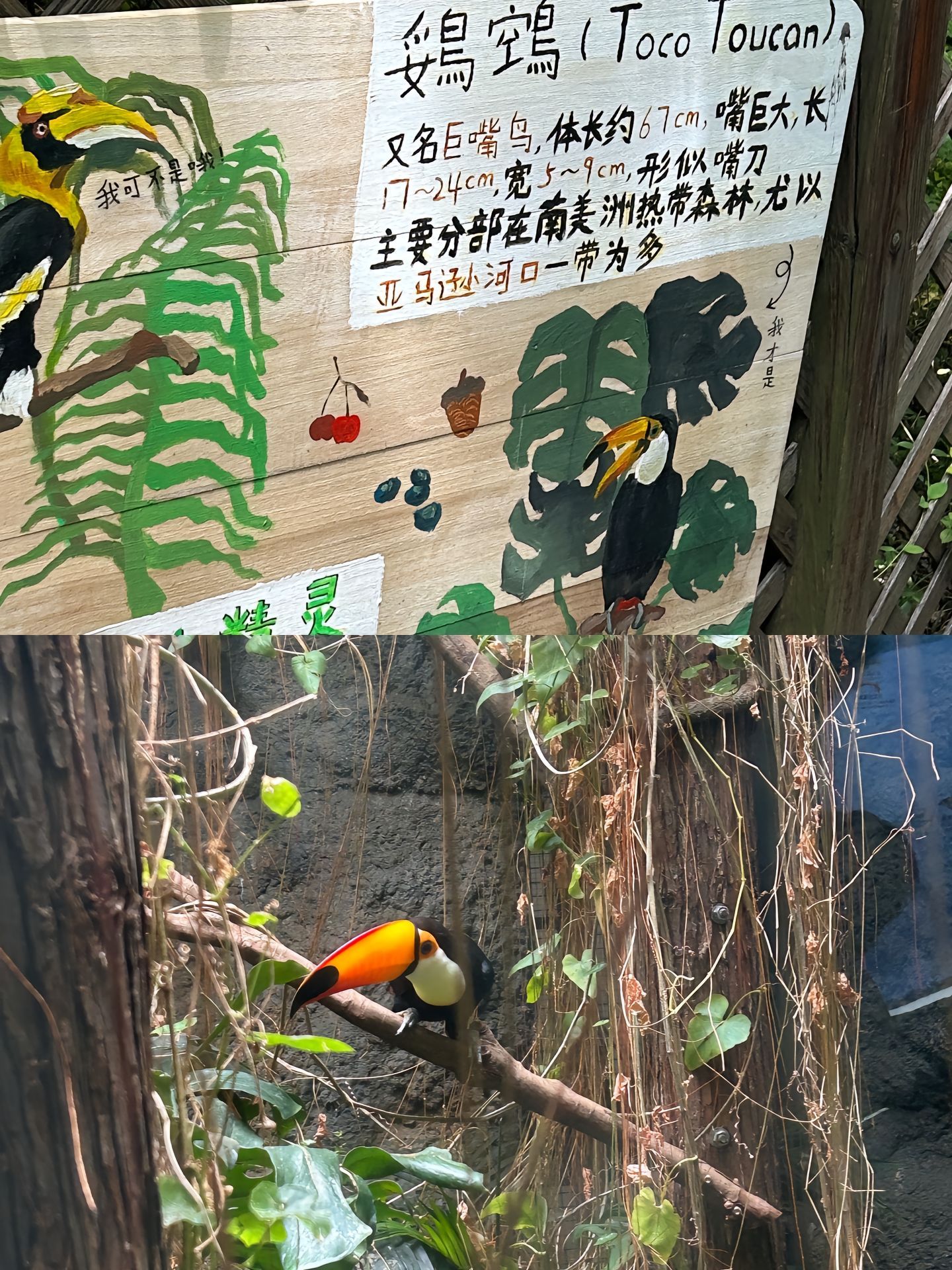 小动物们宣传图画的真的一模一样哎#萌宠##萌宠集中营# ​​​