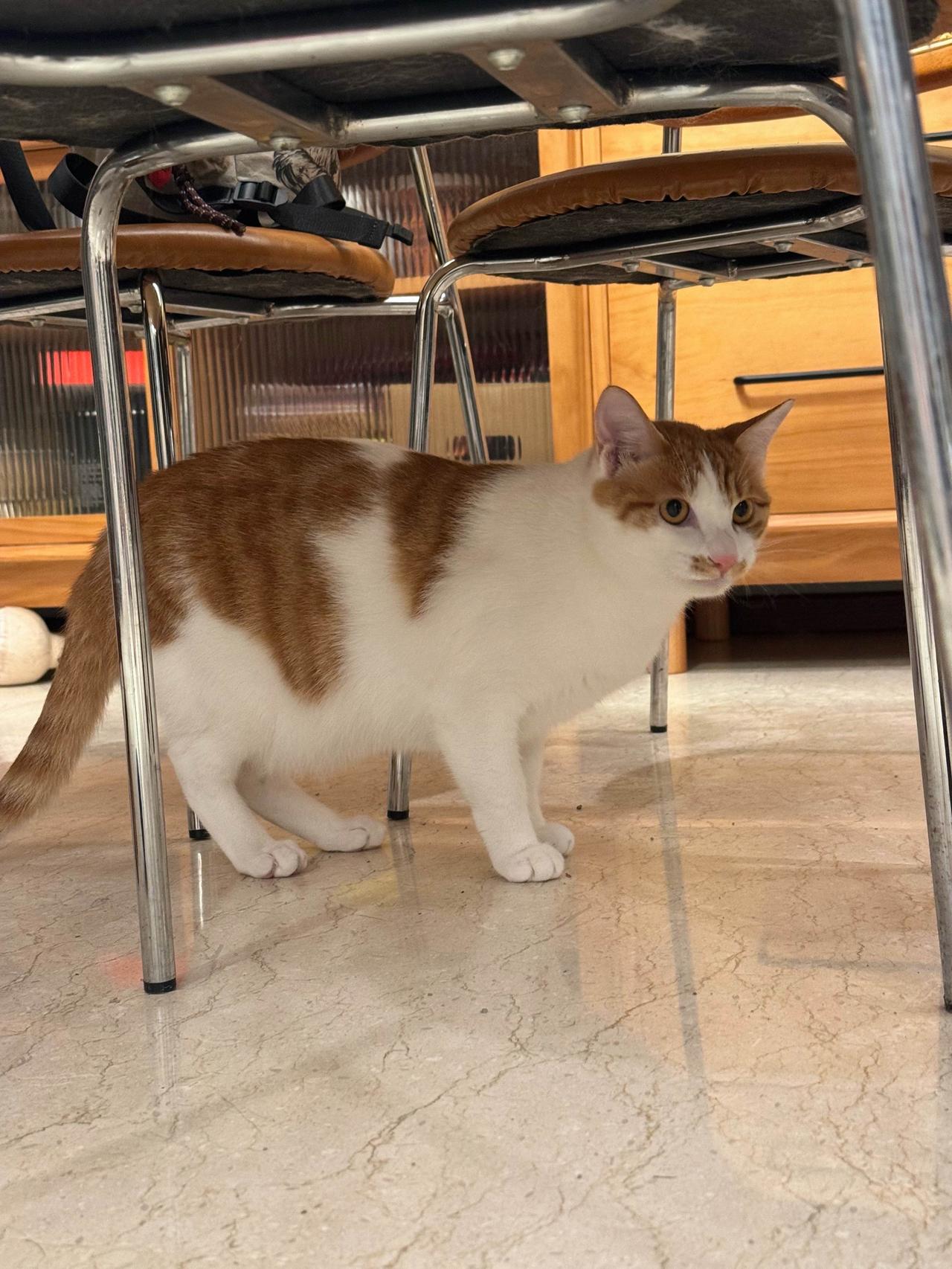 今天本来是波罗出发的好日子，结果因为我没安排好，导致没走成，改明天出发。