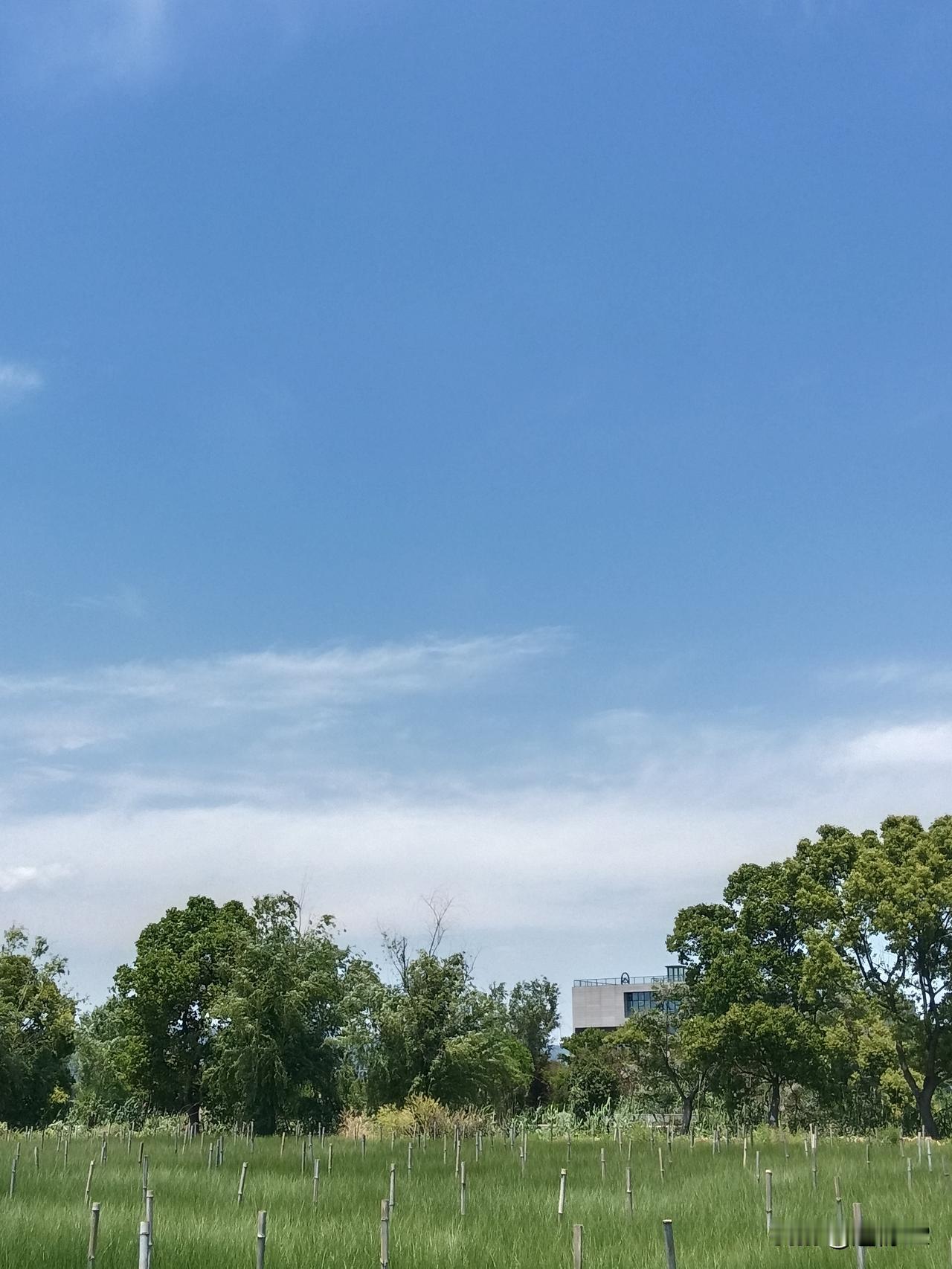 “锄禾日当午，汗滴禾下土。谁知盘中餐，粒粒皆辛苦。”到了小学高年级，随着阅读范围