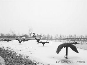 冬日生活打卡季