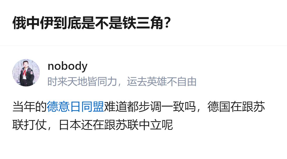 俄中伊根本不是什么铁板一块的铁三角，就像当年的德意日同盟，各自算盘打得精，根本凑
