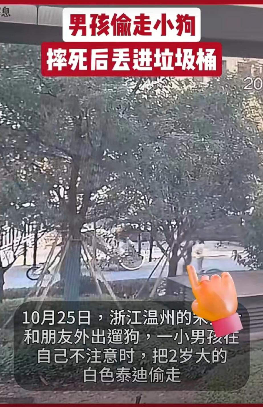 10月25日，浙江温州，2岁大的泰迪被男孩偷走当众摔死后扔垃圾桶。狗主已起诉，原