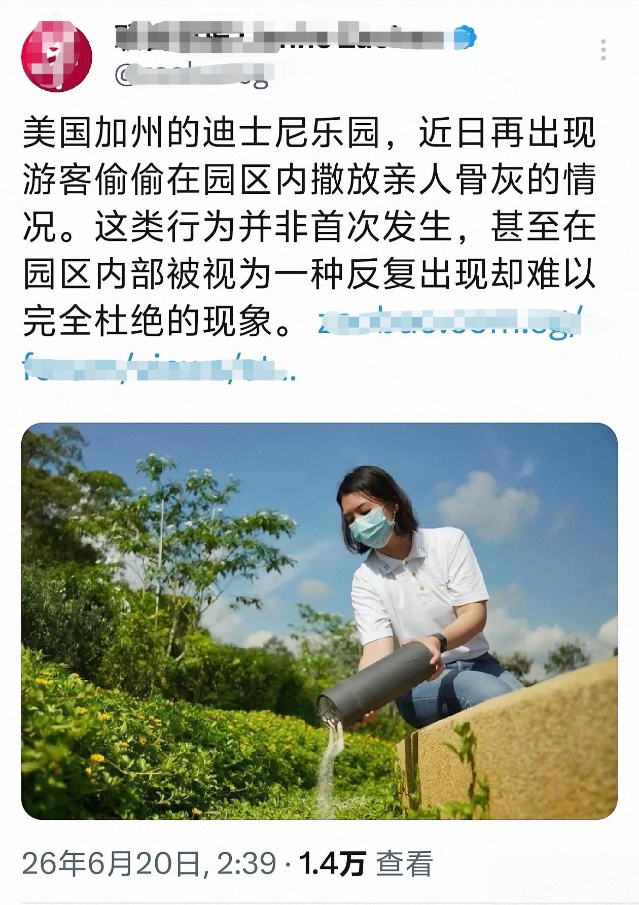 新加坡某报真的越来越没有底线了。
一件在迪斯尼乐园发生的丑陋行径，却拼接一张新加