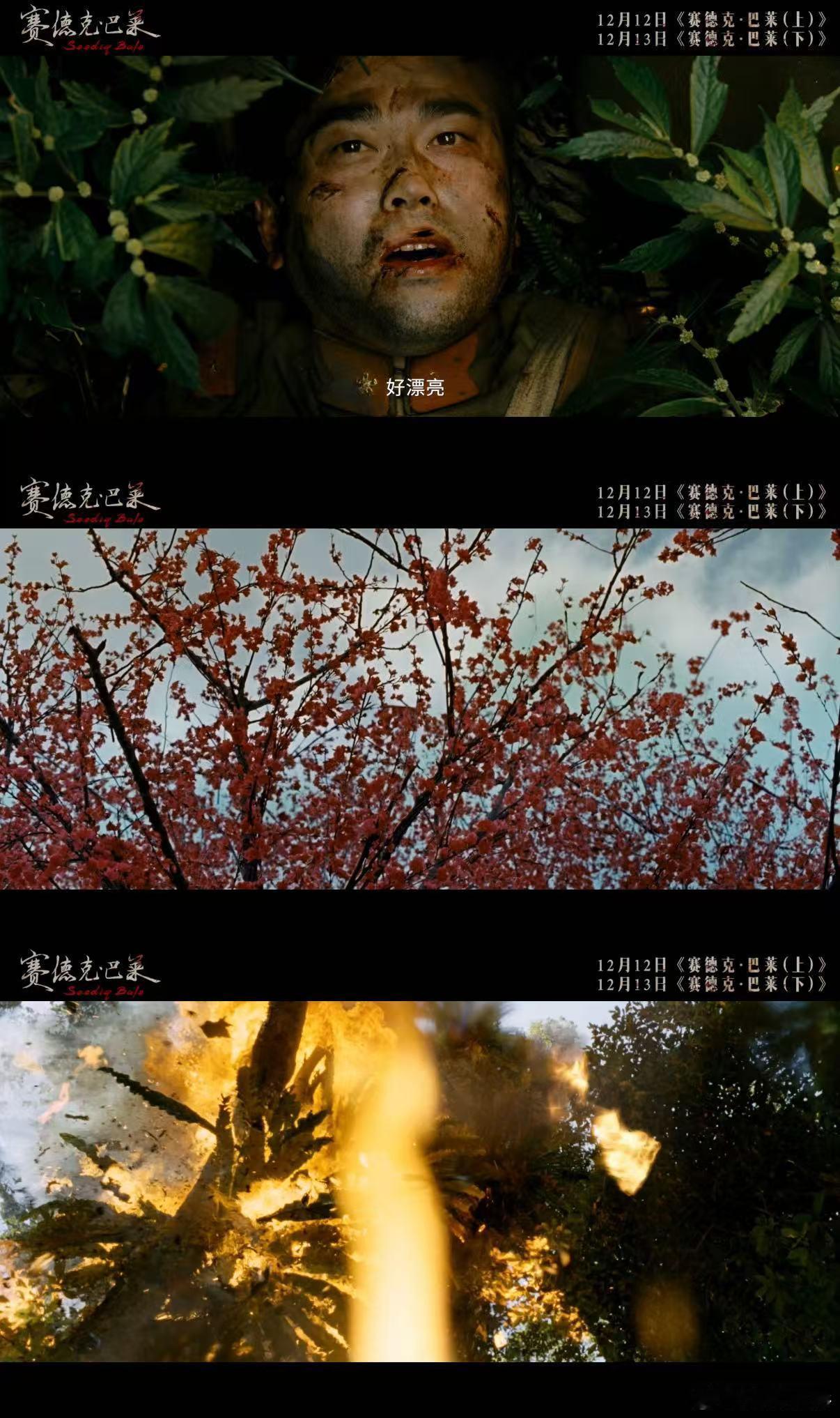 电影赛德克巴莱上下部定档 等了好久的经典终于官宣定档，12月12日至13日，上下