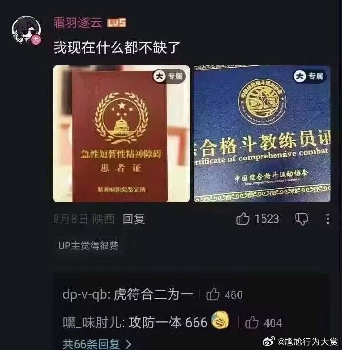 攻防一体 无敌了 迷惑行为大赏 ​​​