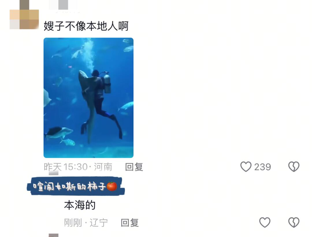 哈哈哈沙雕视频看多了我也是会反击的！