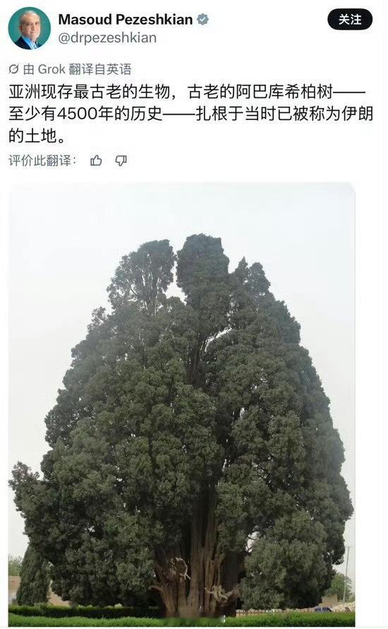 特朗普发图配文风暴来临前的平静一语暗藏深意，平静表象之下暗流涌动，此番表态瞬间引