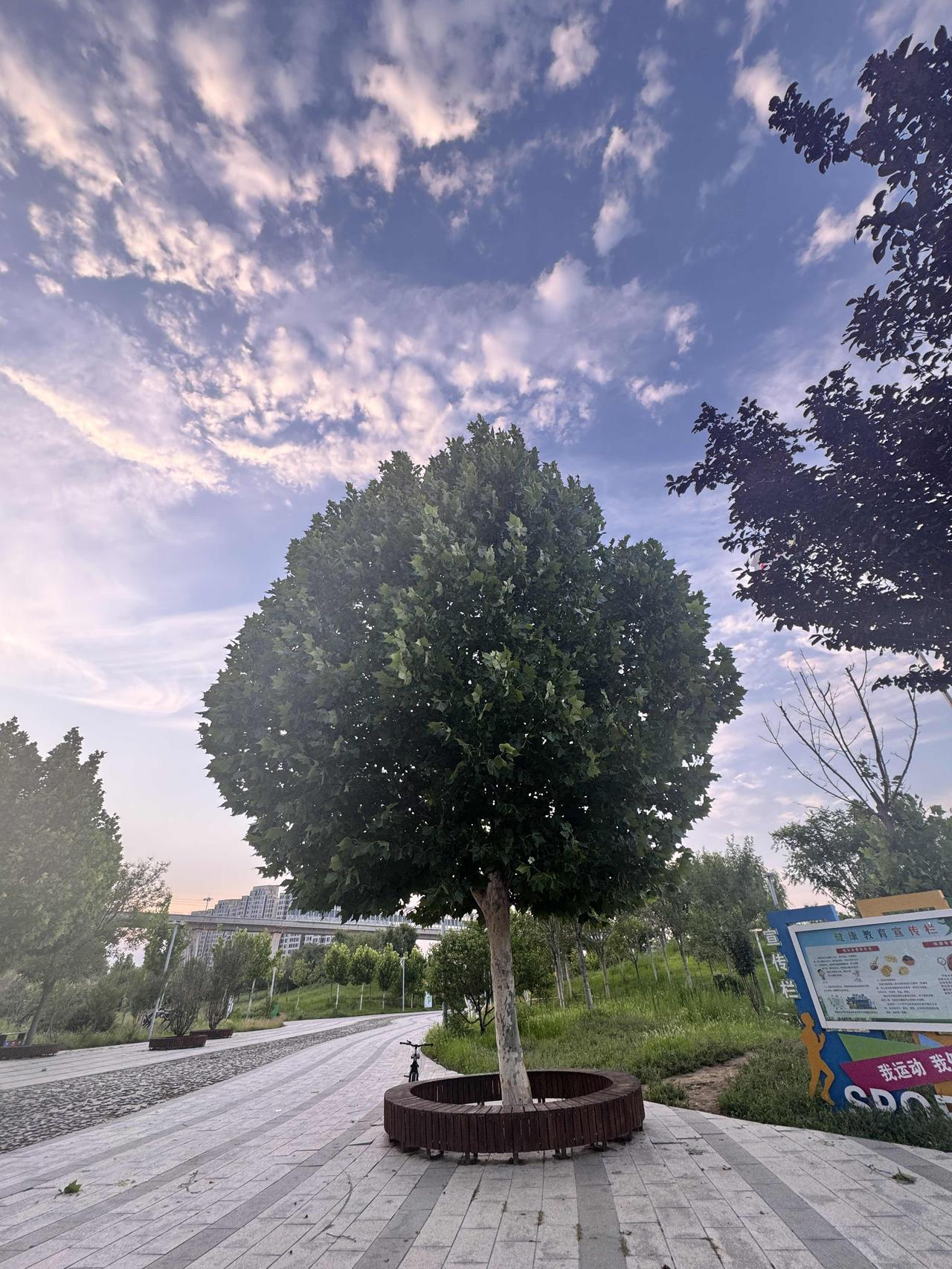 偷得浮生半日闲，和二妞在萨马拉奇公园溜一圈。又在旁边的甜品店吃了一碗绵绵冰，还买