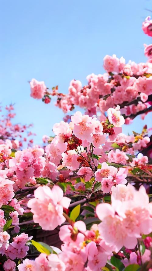 太把别人当人，就等于，委屈自己。有些人，太真诚，太执着，总觉得人心换人心，哪怕自