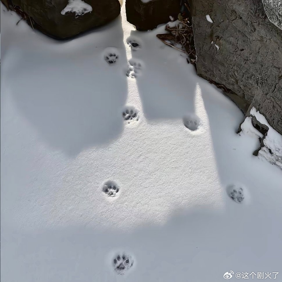 头像背景图搭配女头。 