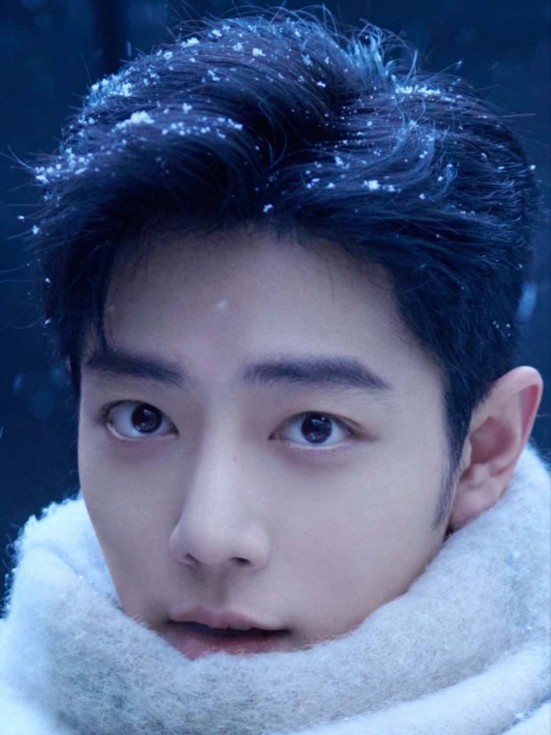 果然不要轻易尝试，放大看可以和战战对视的照片   魂儿都要被吸走了