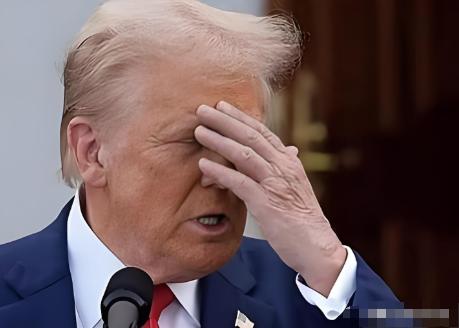 美国此次放行H200芯片的对华出口，看似是对华示好，实则是精心设计的平衡之计，核