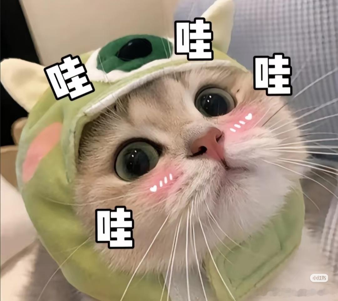 为什么更多家庭开始选择国产车 从过去追赶模仿到如今自主创新定义标准，奕境X9纯平