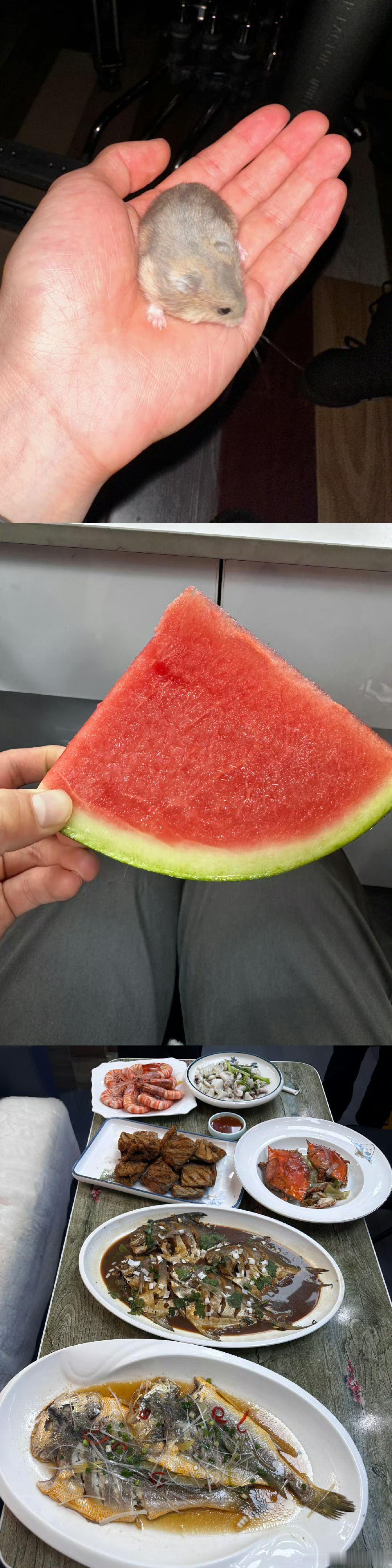 娱乐[超话]李昀锐六月总结李昀锐报恩西瓜李昀锐六月总结，忙忙碌碌的六月~ ​​​