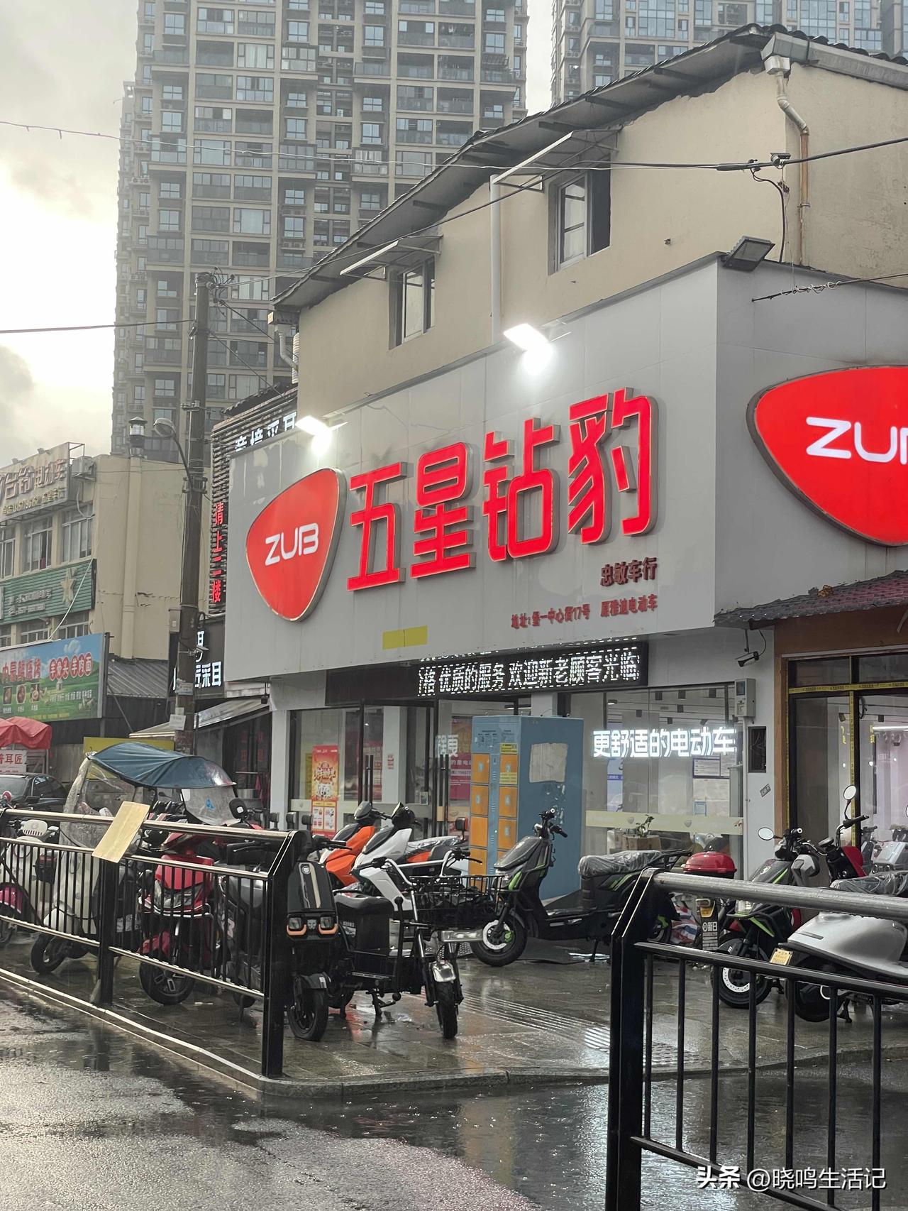 想买个电动车，不知道这个品牌是不是大牌的？