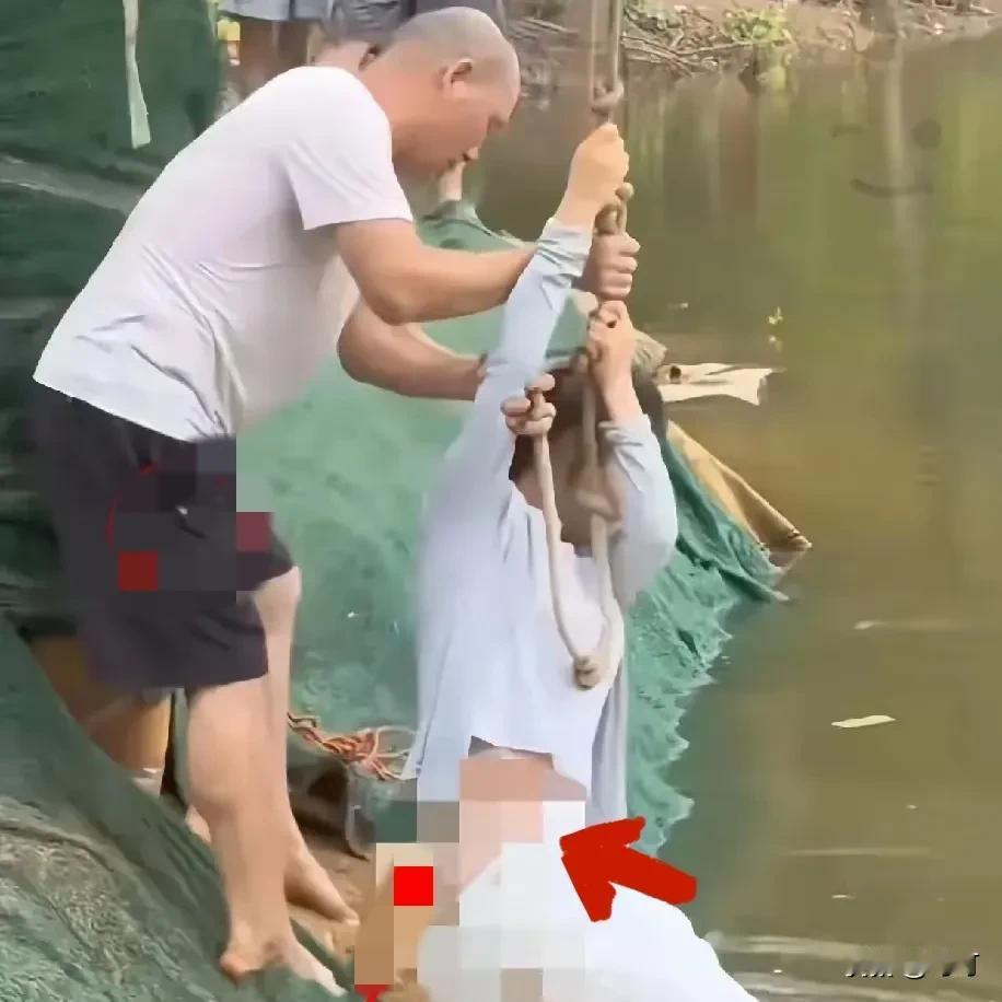 男子见义勇为救落水女孩却被骂，发生了什么？见义勇为本来就是大善之举，这不，前几天