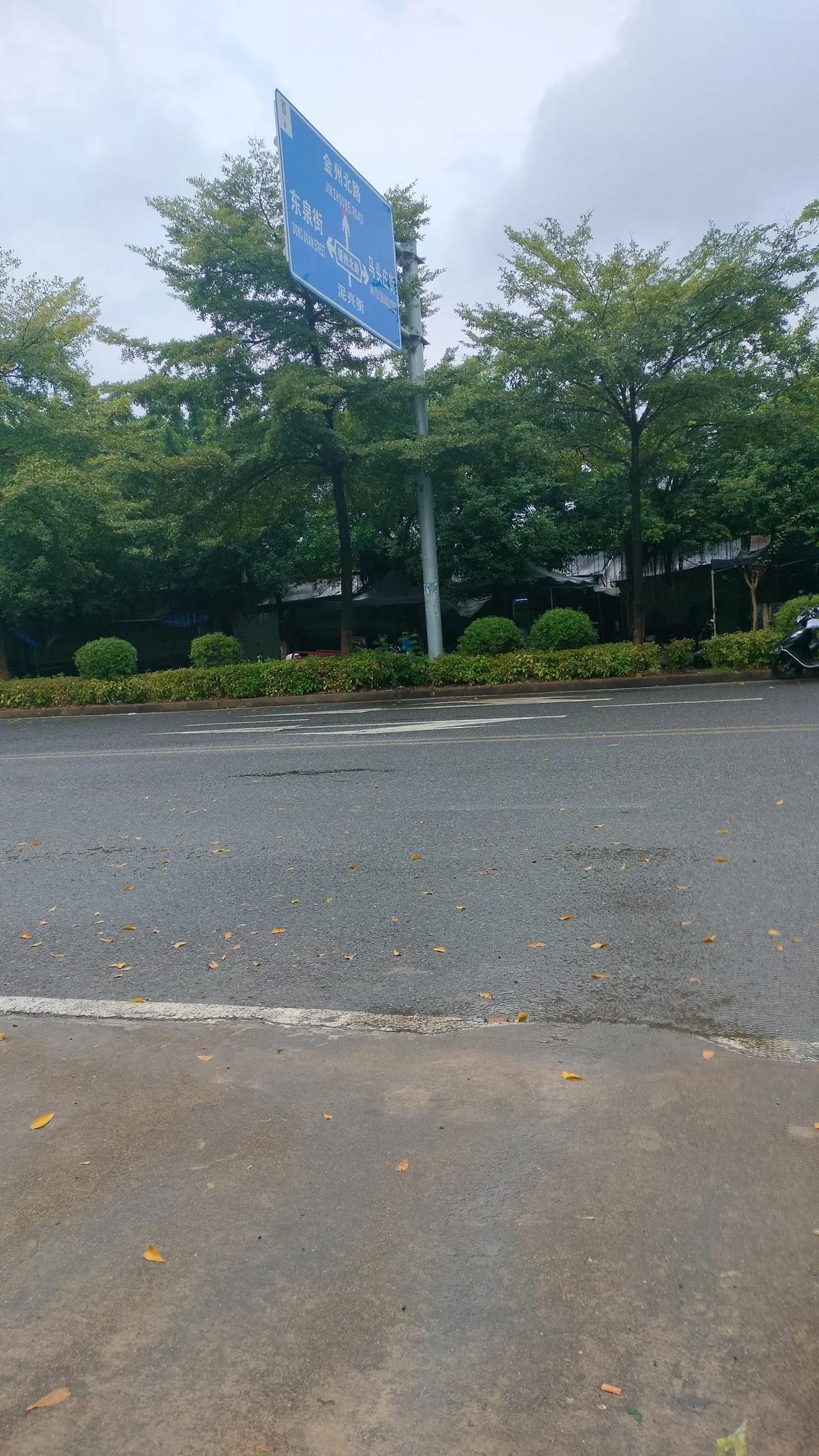 #随手拍一张风景照#