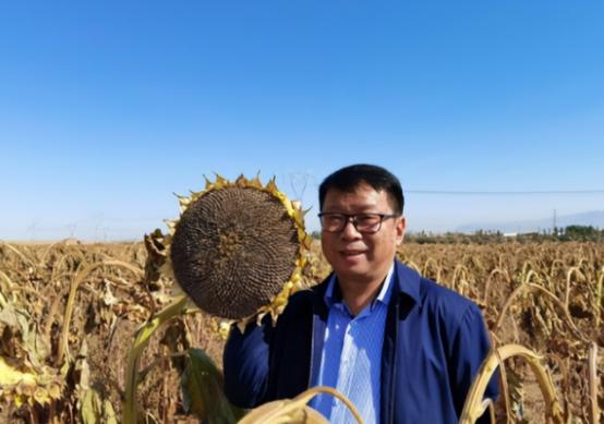 我国工程界大乌龙事件！2009年，重庆大学教授易志坚在研究物质力学时，意外发现了