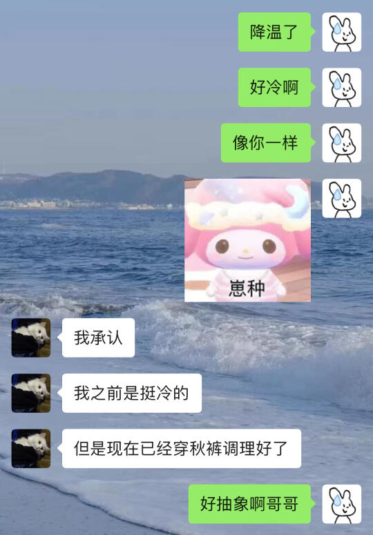 《当两个很有梗的人恋爱》