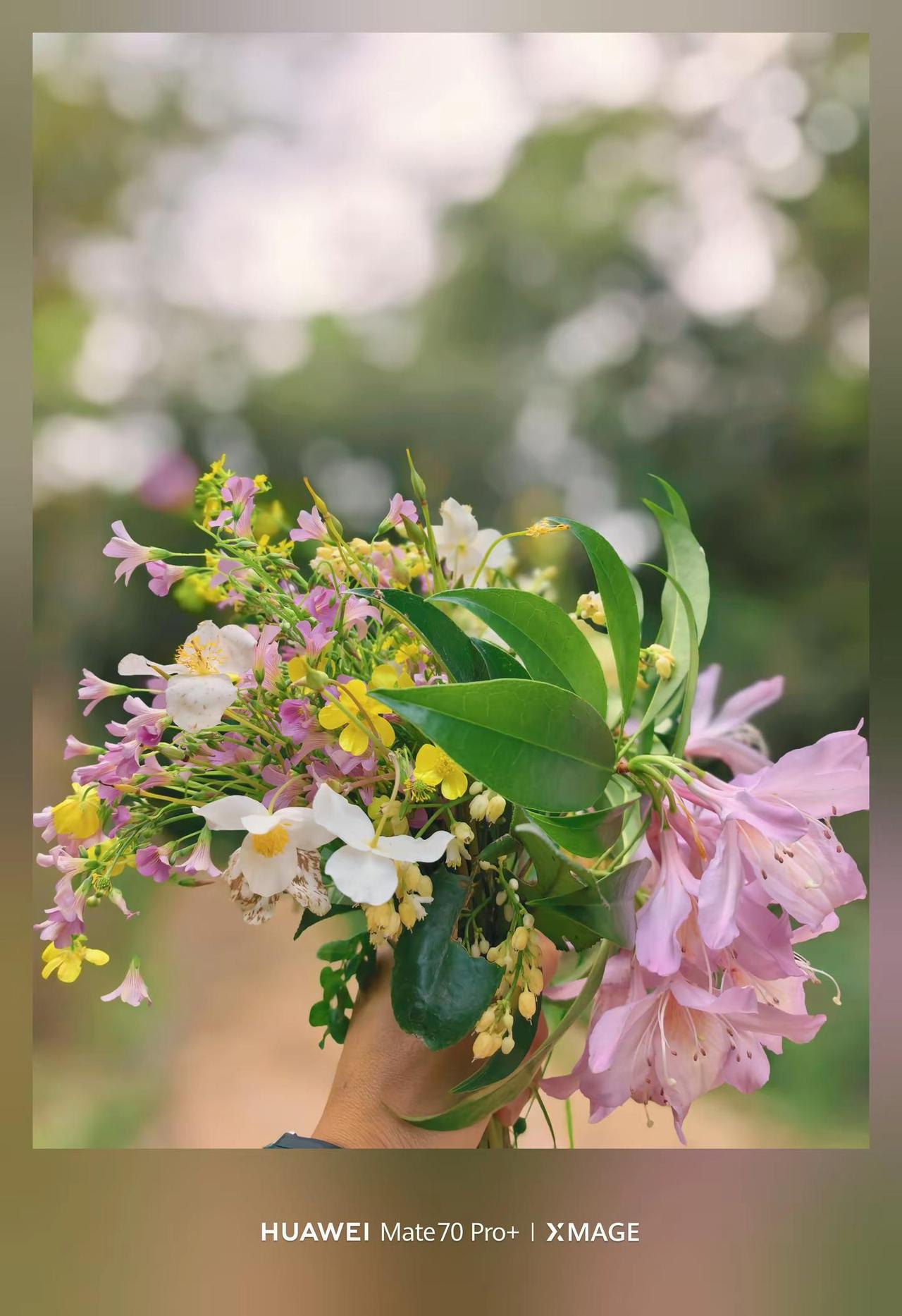 农村的春天，mate70pro+的影像。农村的春天 mate70pro+ 影像