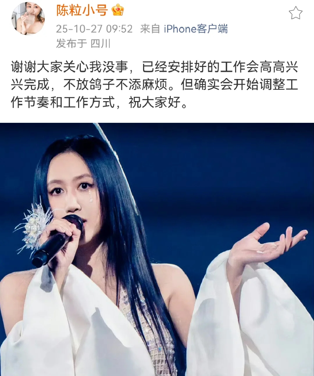 陈粒工作室致歉陈粒发文透露在演出时耳机爆炸，强忍疼痛完成演出，并表示将减少舞台工