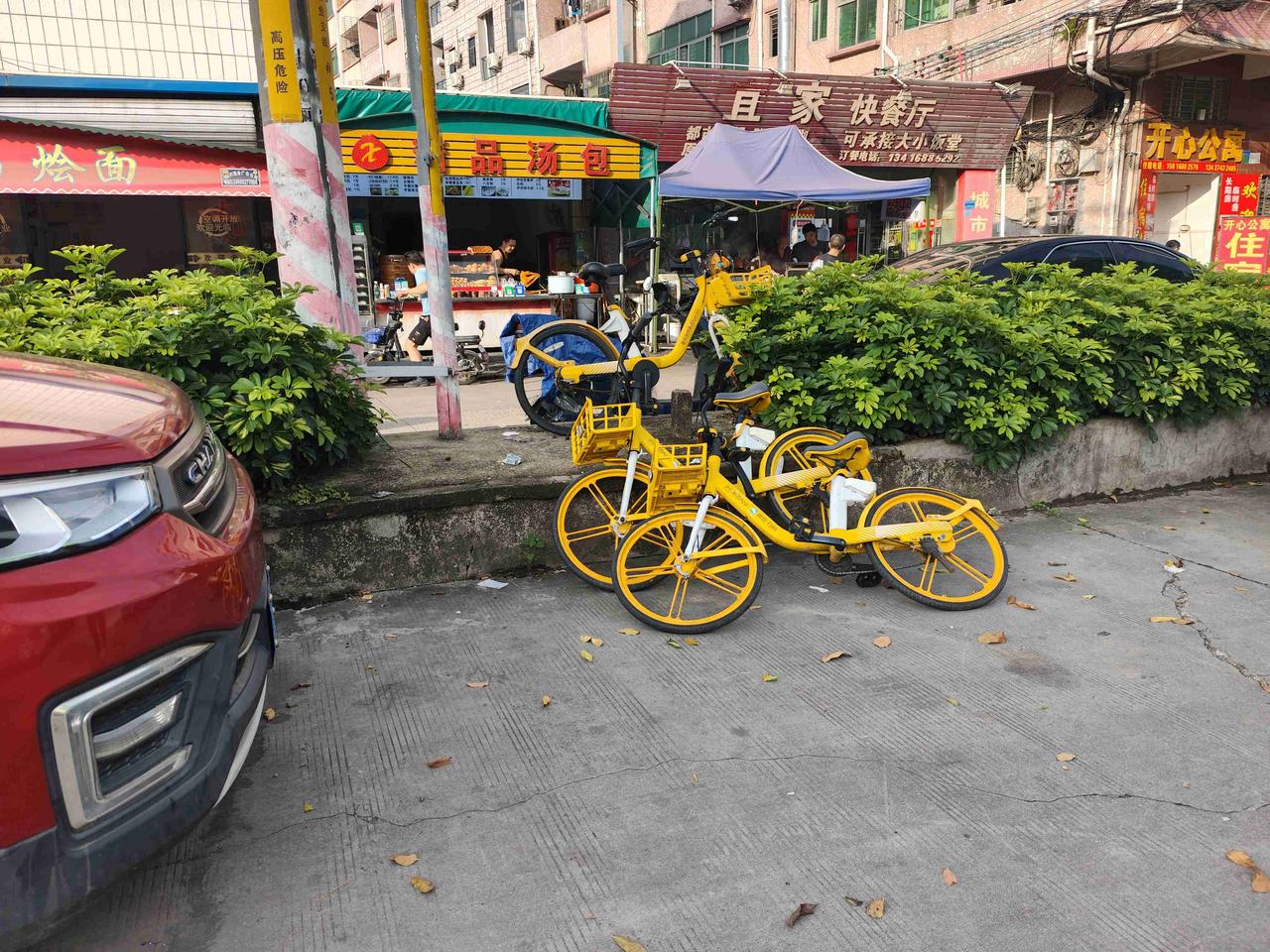 我的今日状态：😁轻松愉快
我这里的天气：⛈️雷雨
共享单车过时了么，怎么被丢在