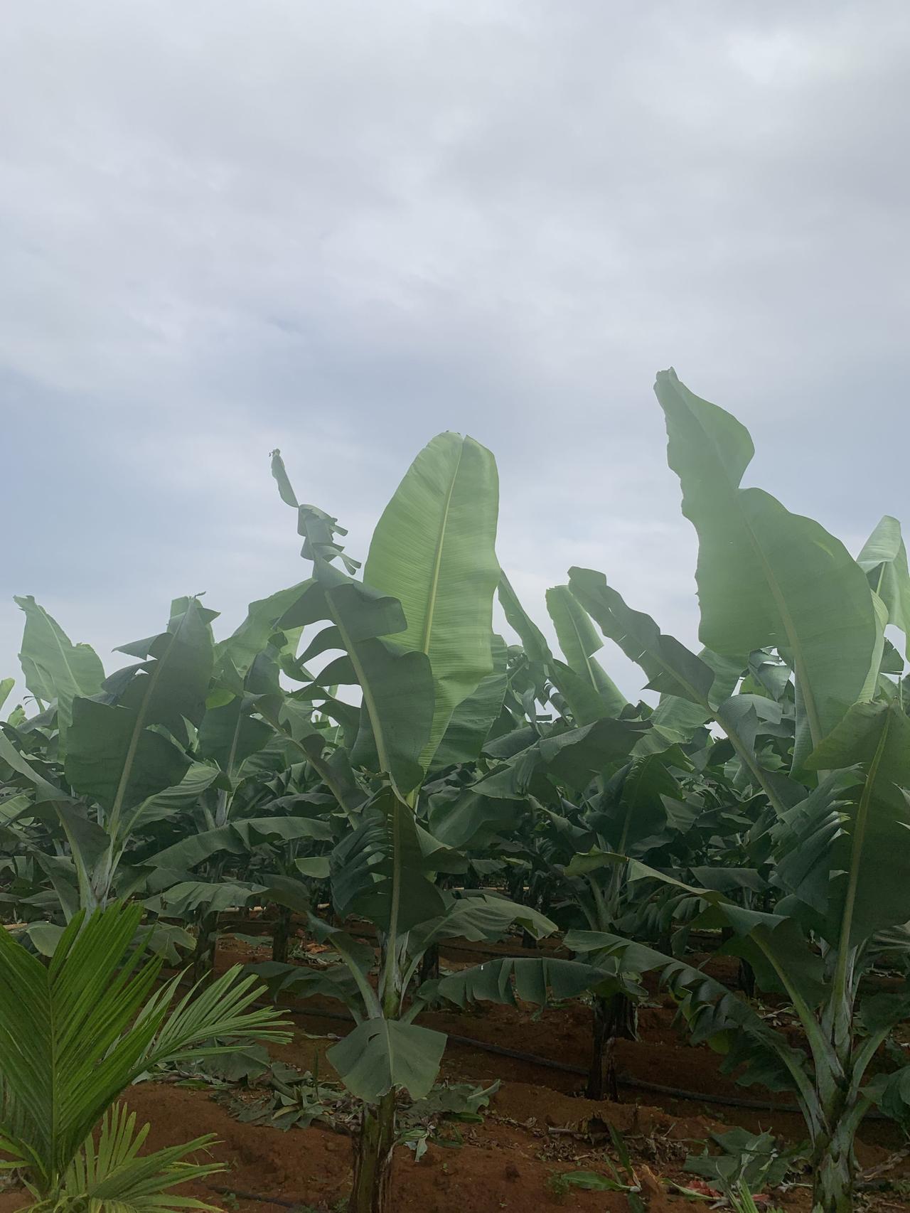 昨天打开头条，看到文章都是收藏却没评价，心里有点失落。好多创作者都有这困扰，觉得