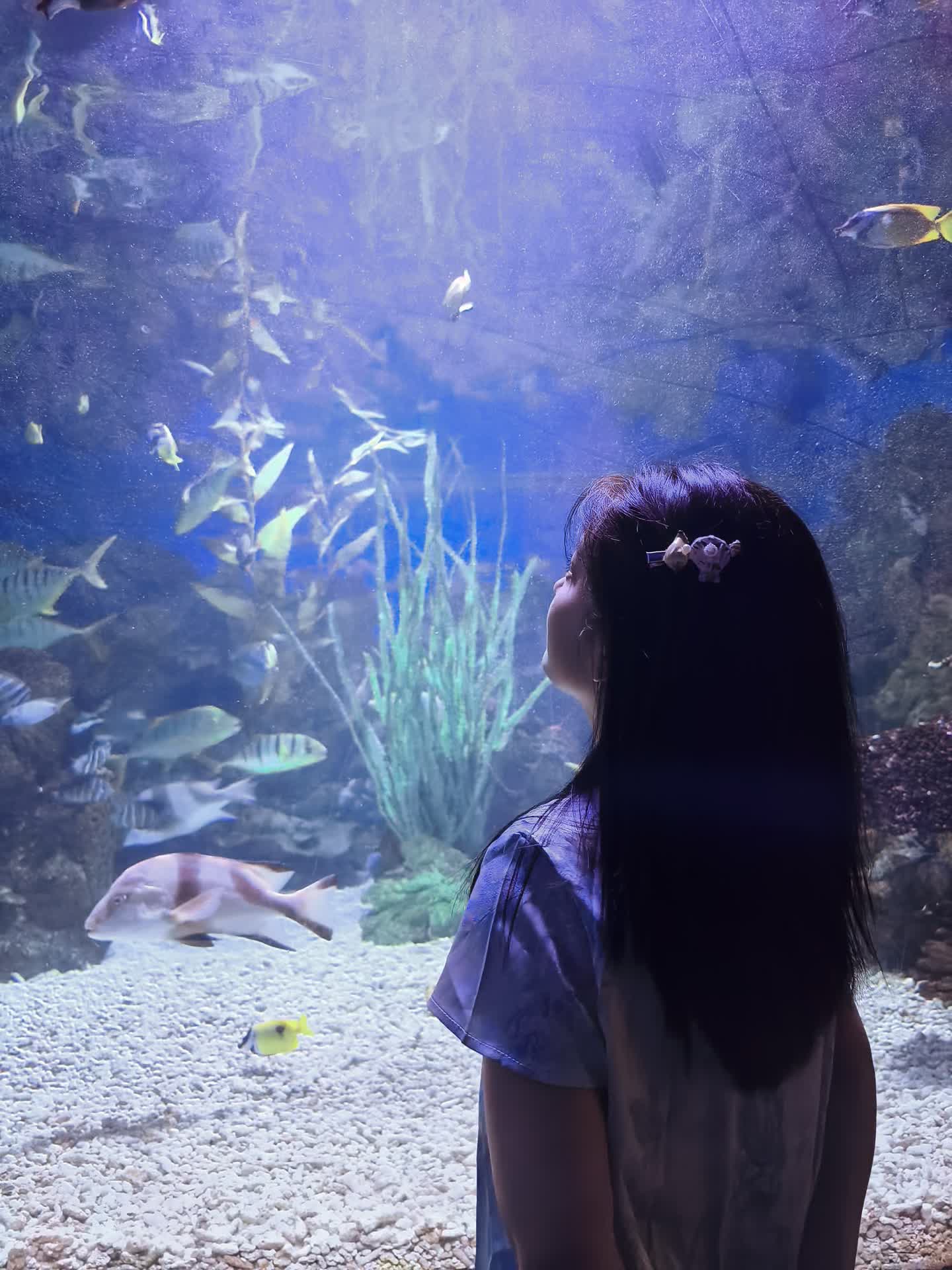 在老虎滩给大连结个尾