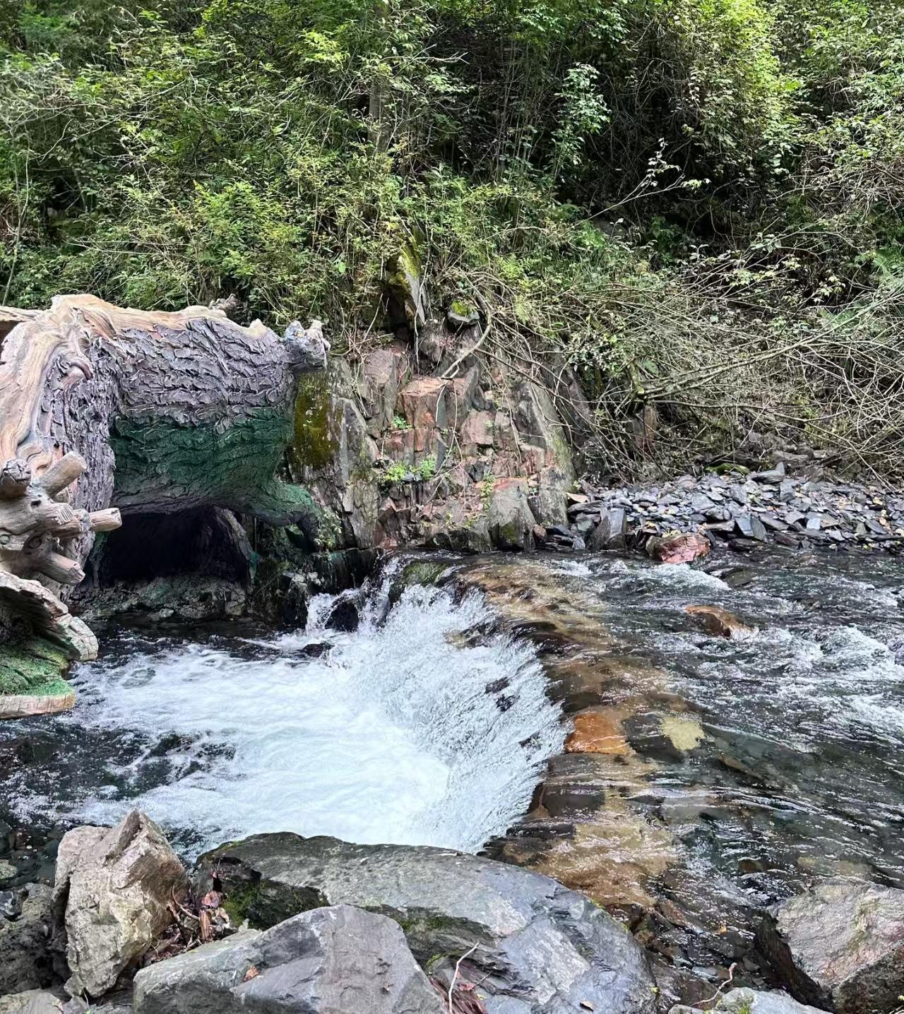 哈尔滨凤凰山太争气了，成功入选国家级旅游典型案例，拿下国字号荣誉！景区在五常山河