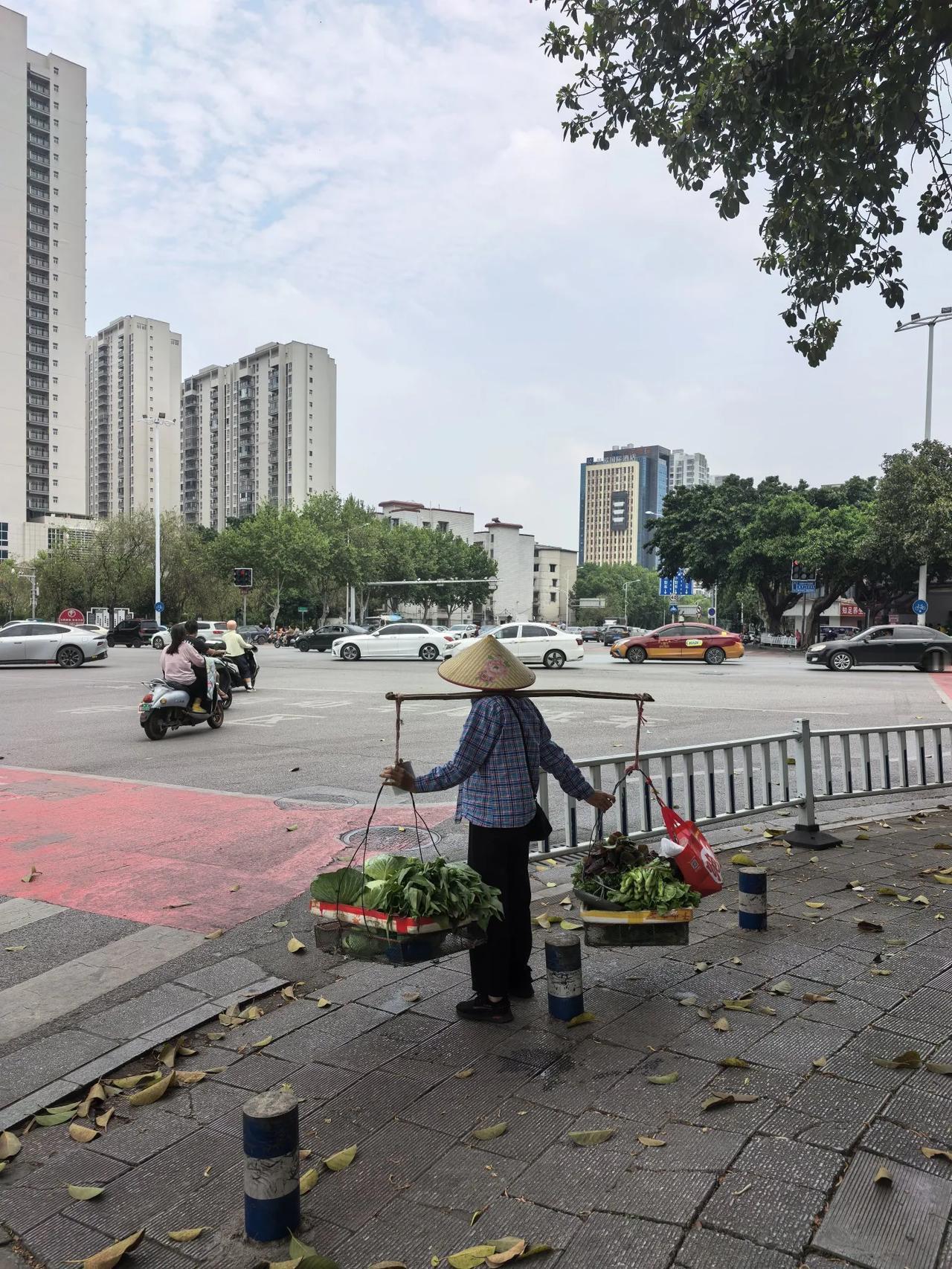 卖菜翁
​种菜淋粪村头东
​起早贪黑多勤奋
​一年到头荷包空
​常听市井话闲语