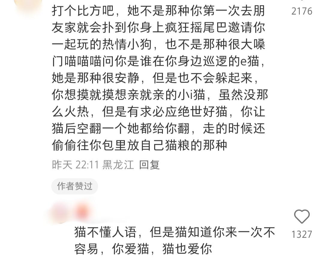 谁家小猫咪来了 柠檬迷惑行为大赏 ​​​