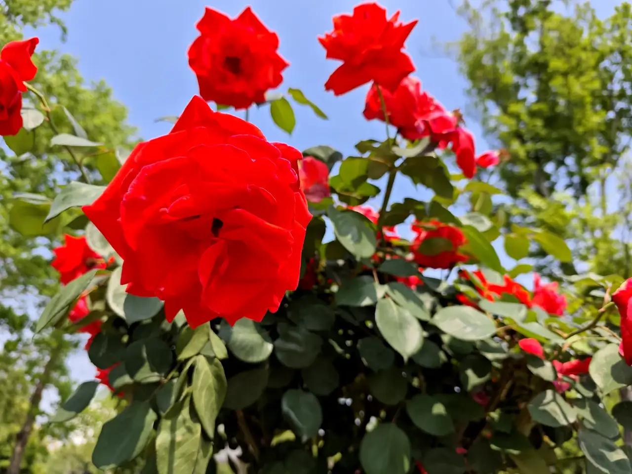 油价下跌对我的生活肯定有影响，首先生活成本降低了很多，因为油价下跌使得运费成本和