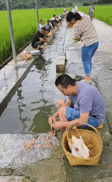 今天来了啥贵客？怎么全村家家户户都如此隆重，接待规格真高呀！
