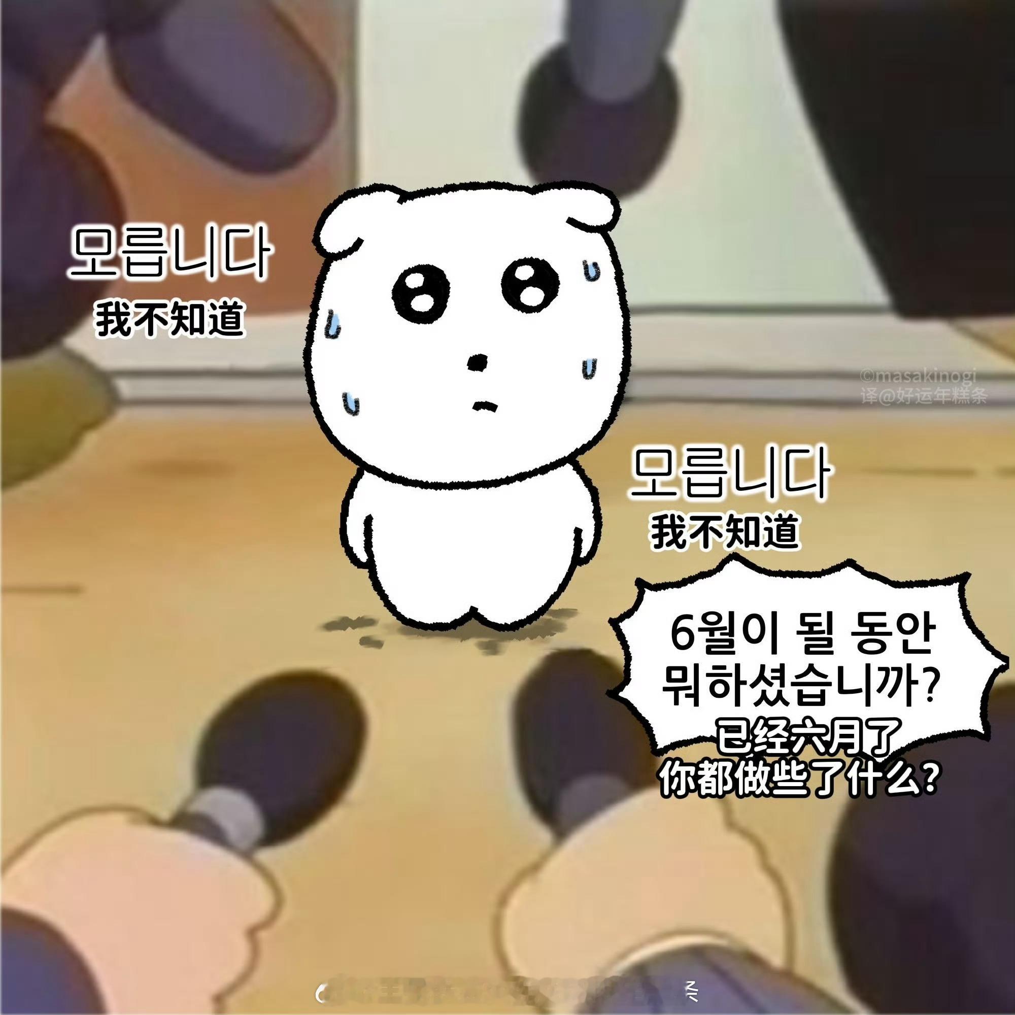 霸王茶姬每次都在点桂馥兰香和桂子飘飘，想喝点其他的有推荐吗（ps伯牙绝弦太平淡了