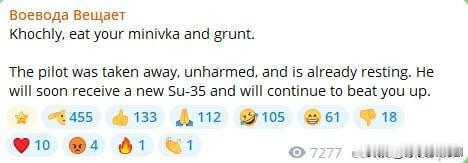 俄罗斯媒体证实，一架苏-35战斗机被击落。目前尚不清楚是被爱国者防空系统还是空对
