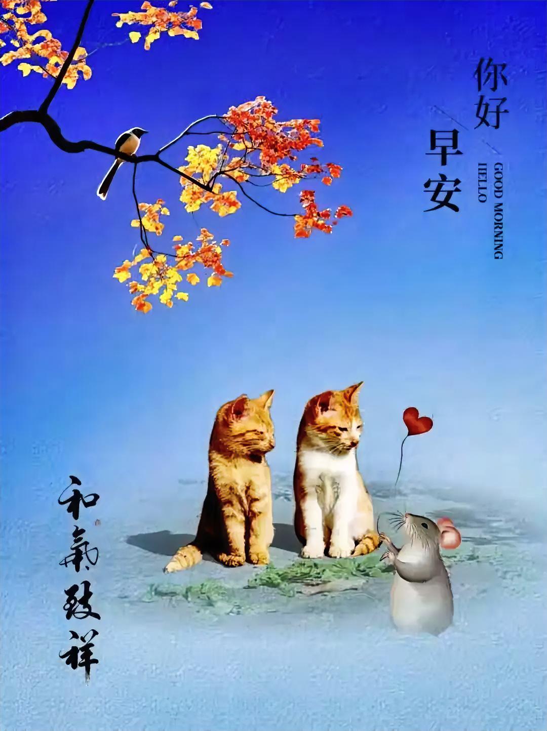 两只橘猫被小老鼠的爱心气球萌翻！夏日晨光中，这和气致祥的早安，治愈又可爱。
每日