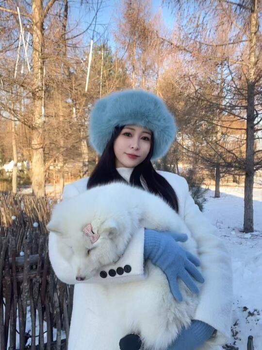 被大东北治愈的季节❄️