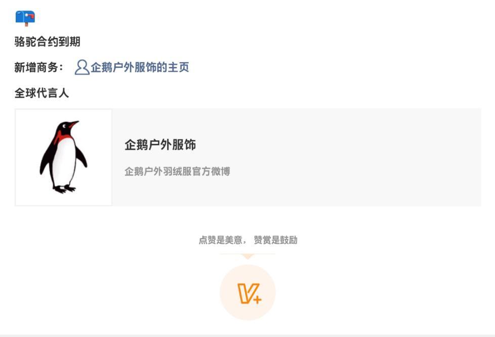 Angelababy新的商务预告来了！企鹅户外服饰全球代言人！🔥鼻姐好牛！最高