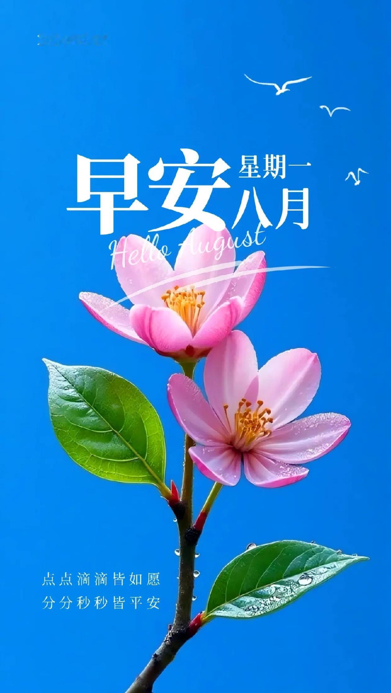 秋晨寄语，人主漫漫无同调，心定何愁路路遥。
2026./08.17.
[微风][