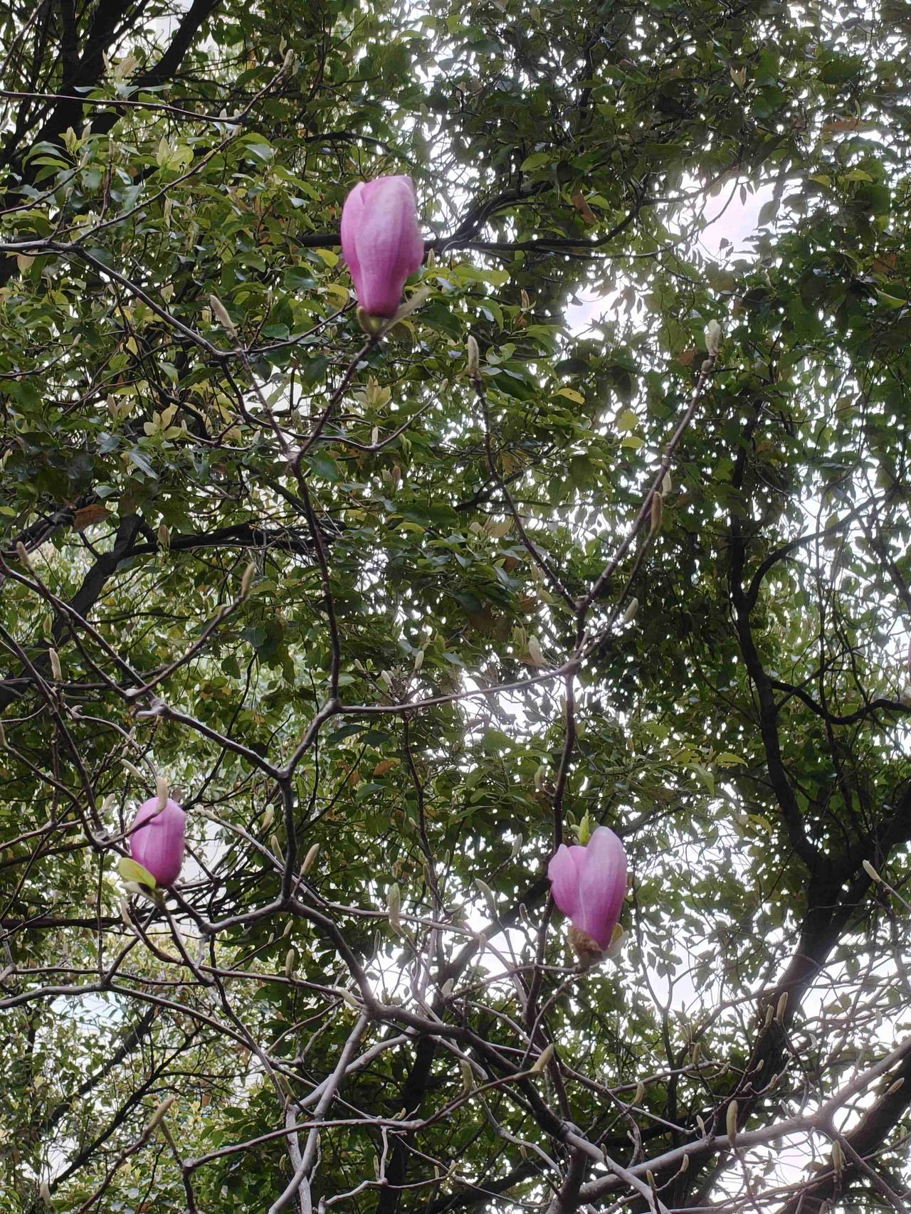 我的今日状态：💰期待暴富
我这里的天气：🌤️多云