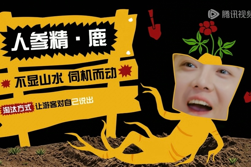 但是这个好萌哈哈哈哈 