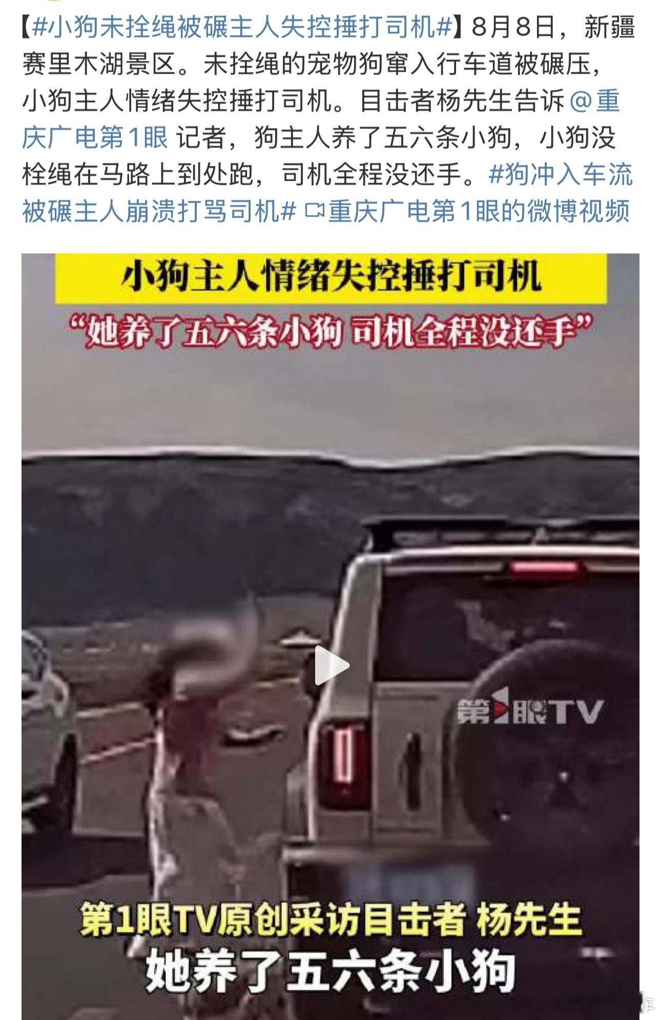 养了宠物就要对它负责[柯基]行车道放养不拴绳，狗狗如果会说人话，都会先怪主人害了