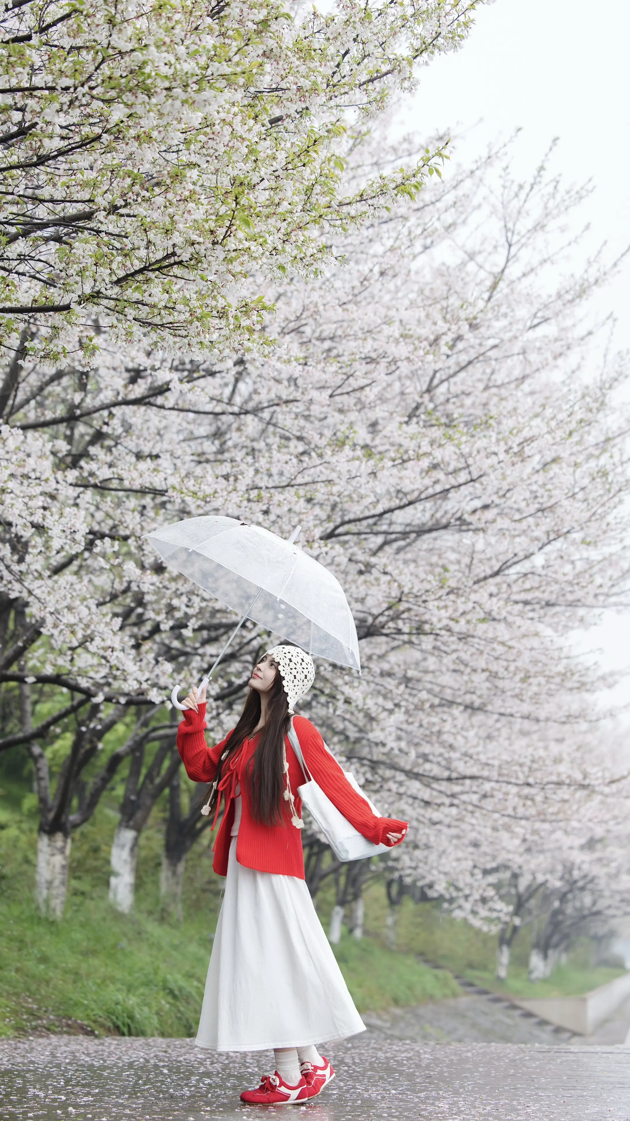 今天是樱花味。 相机：r63 镜头：rf702002.8➕rf351....