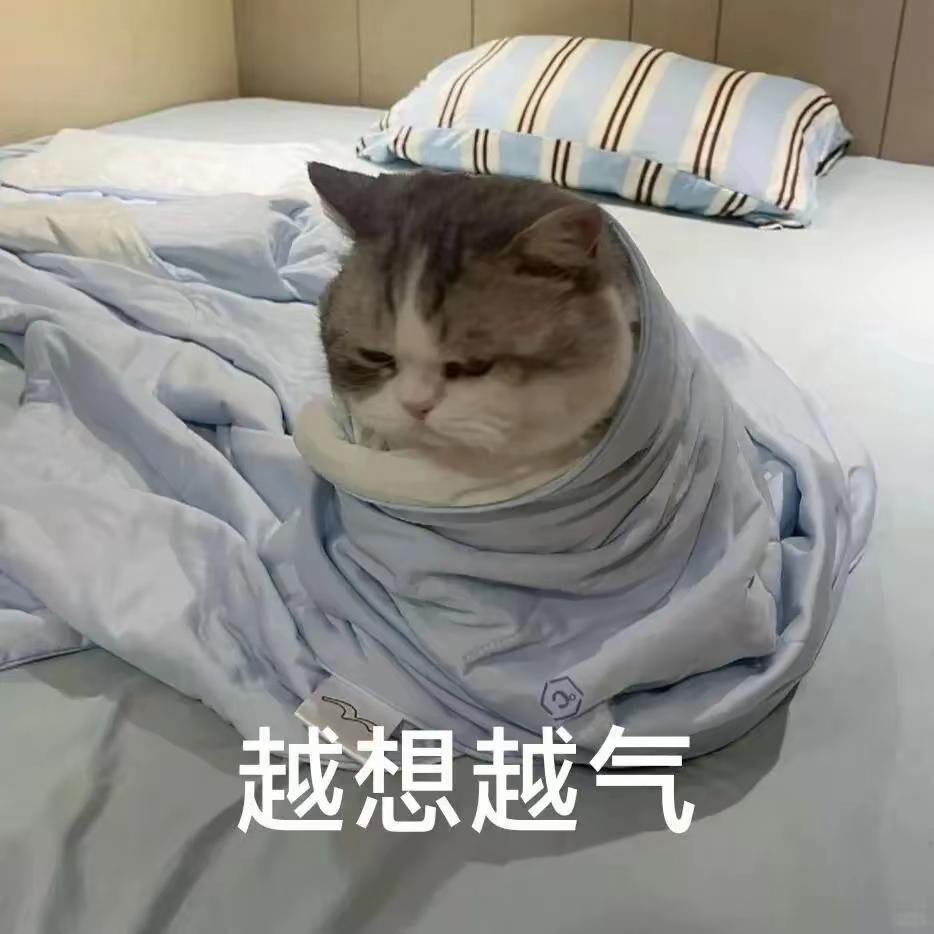 生气，今天一早，老婆被一位素不相识的人气坏了，竟然还有这种人。

早上起床，老婆