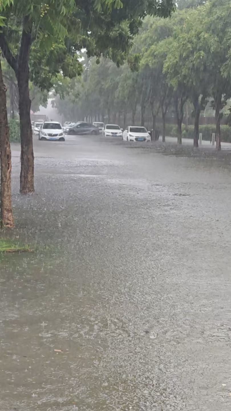 也是在陆地开上船了白海豚快离开吧 
