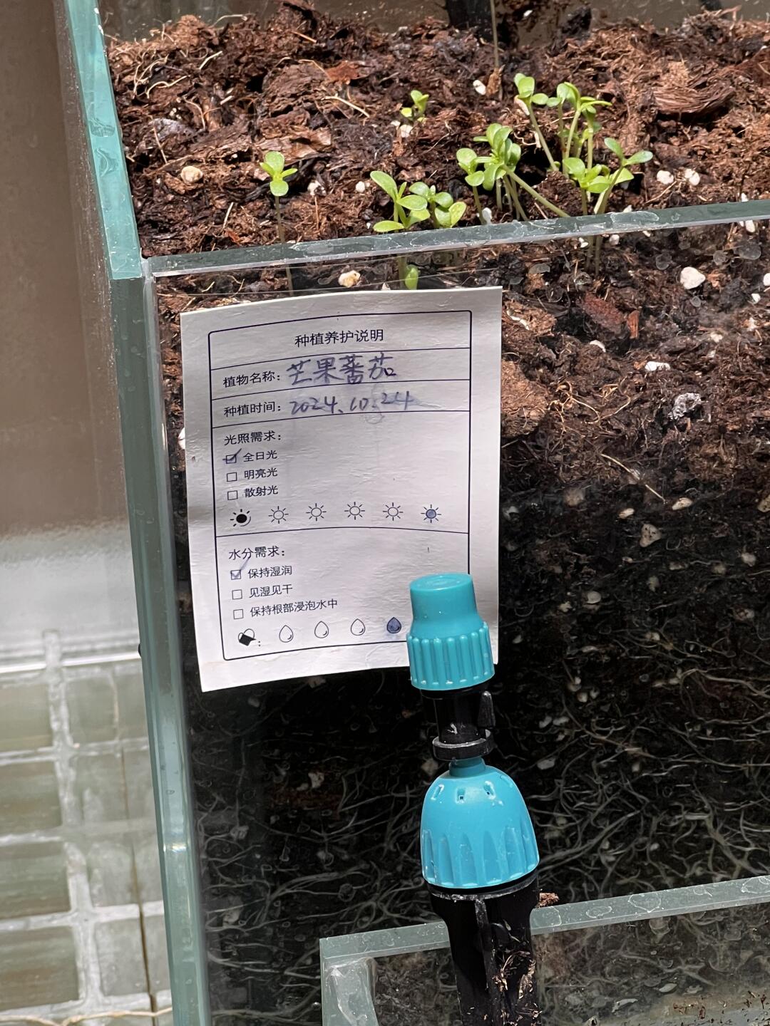 （沈阳）不完全懂但大受震撼。。。。😅